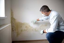 Best Commercial Mold Inspection  in Ketchikan, AK